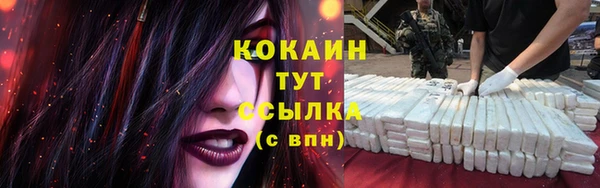 спиды Лиски