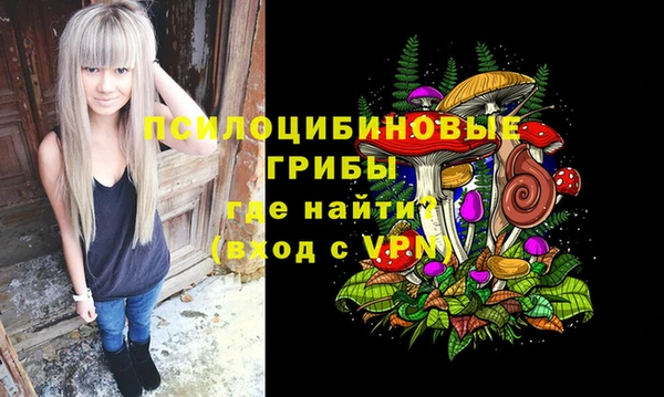 spice Лихославль
