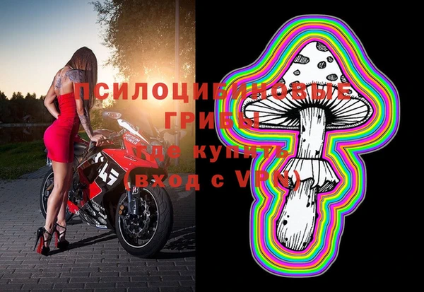 спиды Лиски