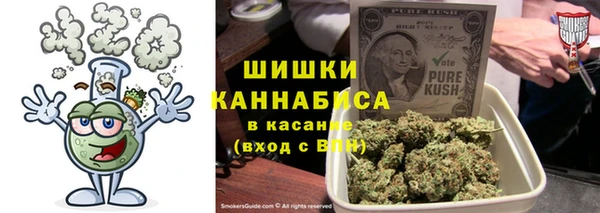 спиды Лиски