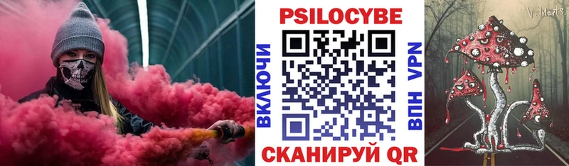 Псилоцибиновые грибы Cubensis  Купить  Архангельск 
