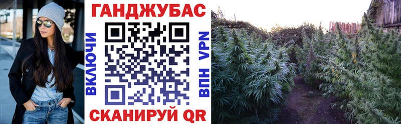Купить где  Архангельск  Канабис марихуана 